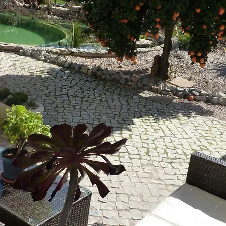 Casa Azul Self-catering With Gorgeous Biological Swimming Pool דירה *