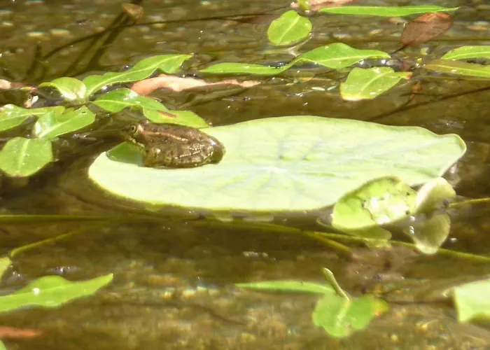 Casa Azul Self-catering With Gorgeous Biological Swimming Pool Appartamento *